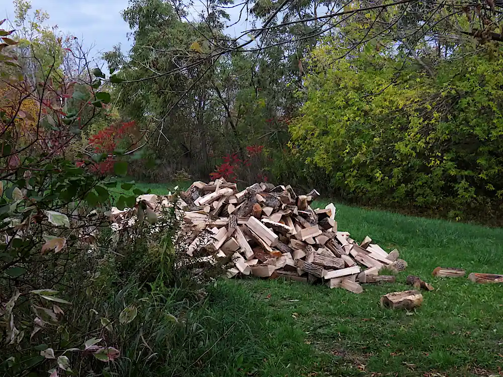 Firewood heap